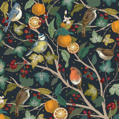 Robins & Oranges Luxury Box of 8 Cards