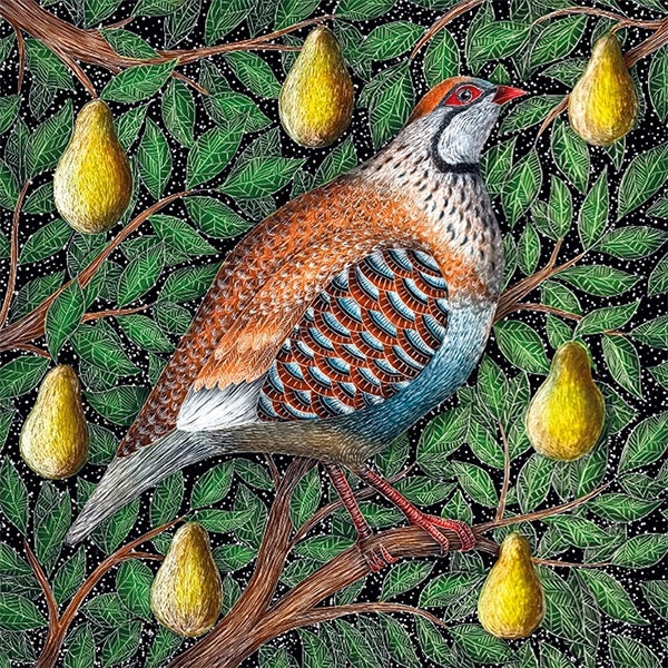 Partridge in a Pear Tree Pack of Cards