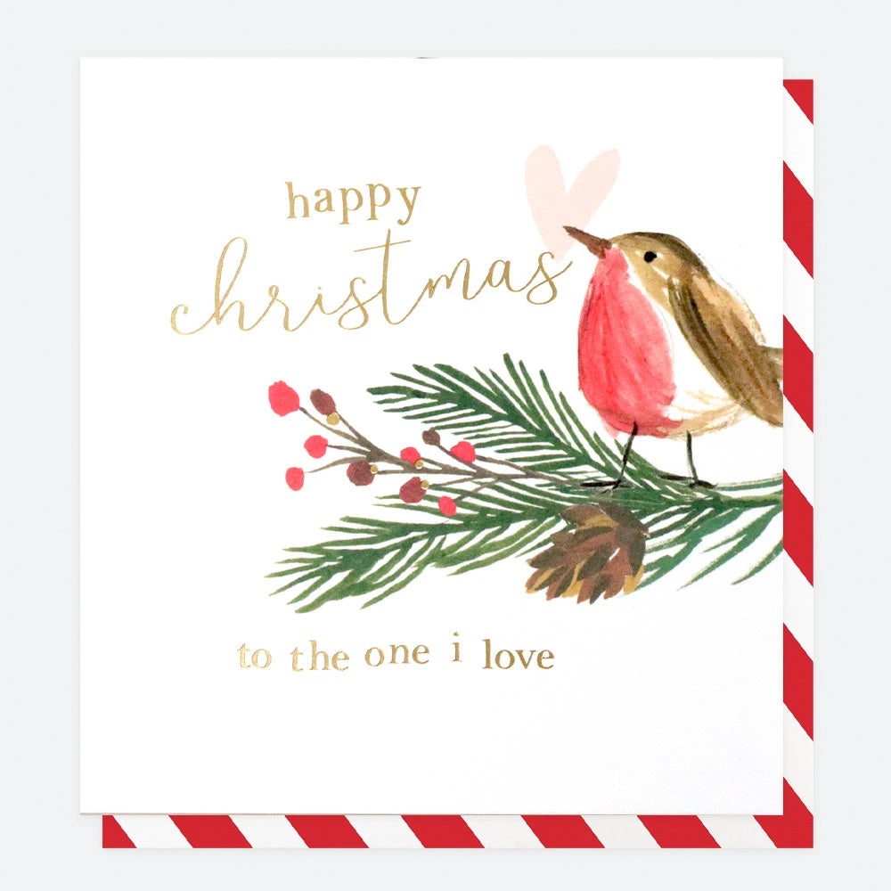To The One I Love Robin Christmas Card