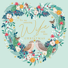 To My Amazing Wife Owl Christmas Card