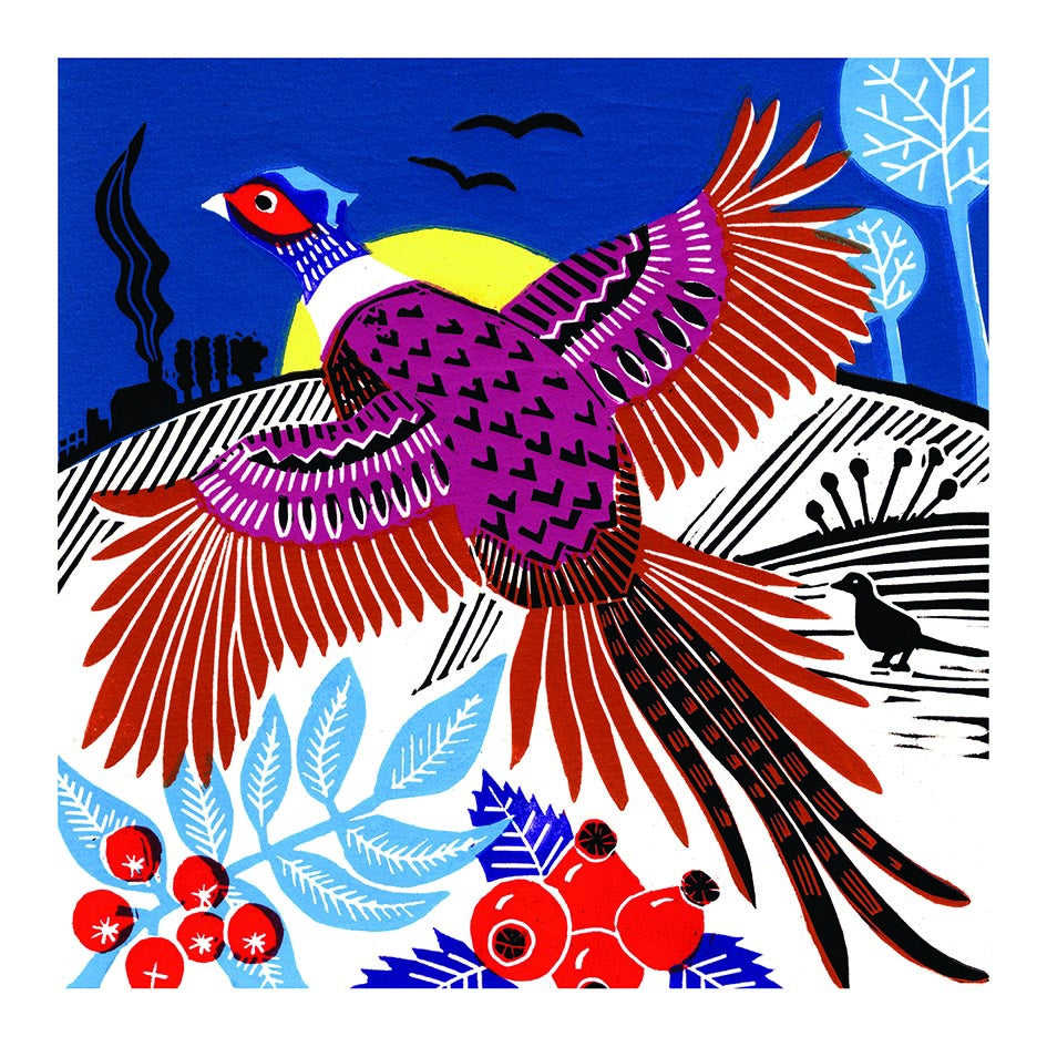 Colourful Nature Box of 10 Cards