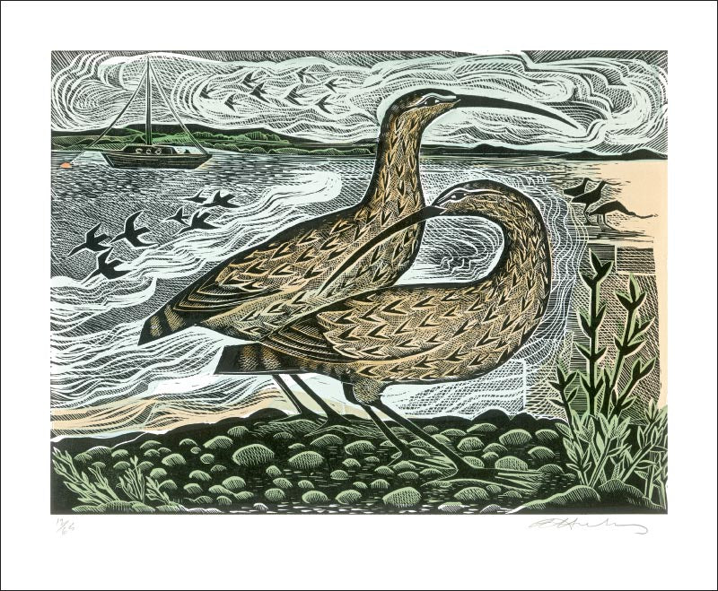 Two Curlews on the Deben Card by Angela Harding