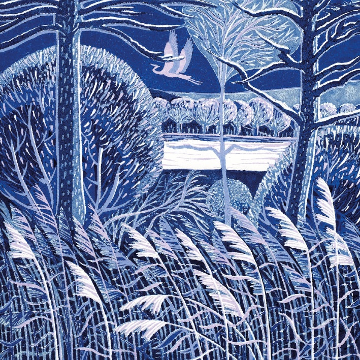 Iced Over Pack of 5 Christmas Cards
