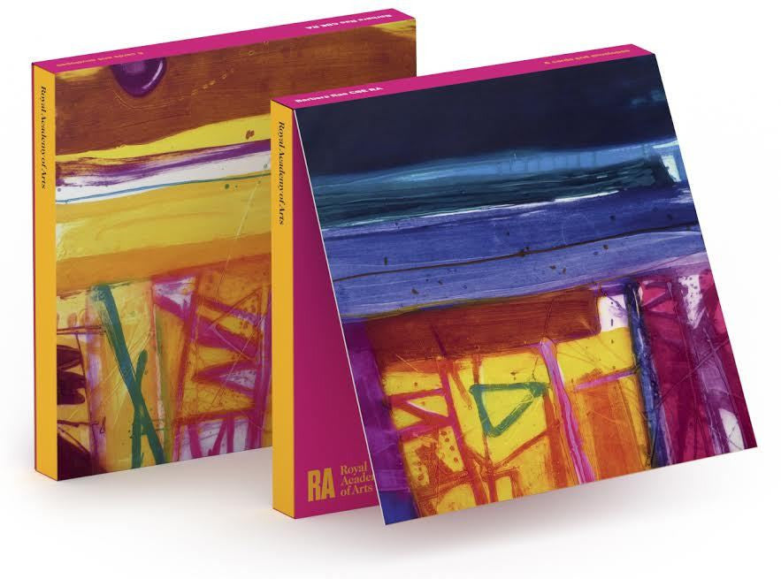 Barbara Rae Abstract Stripes Notecard Wallet