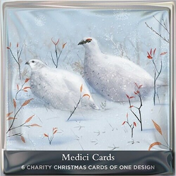 Ptarmigan In The Snow Card Pack