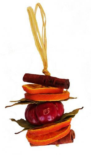 Dried Fruit Tree - Pumpkin