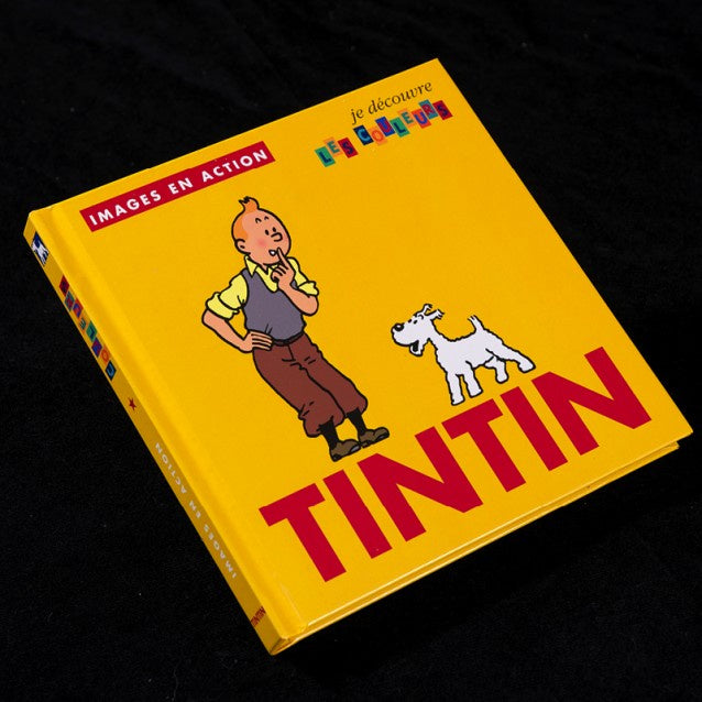 Tintin Images in Action Colours