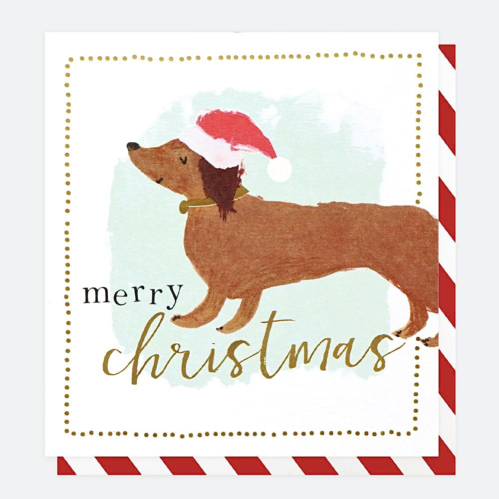 Sausage Dog Charity Pack of Eight Christmas Cards