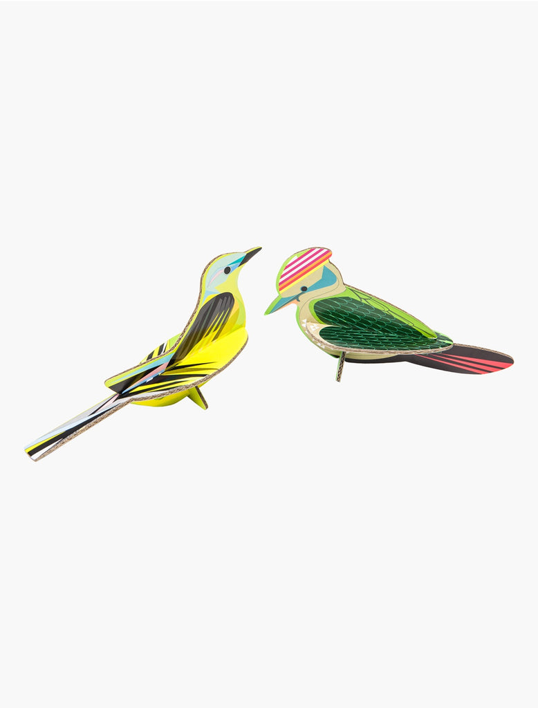 Woodpecker and Wagtail Pop Out Card