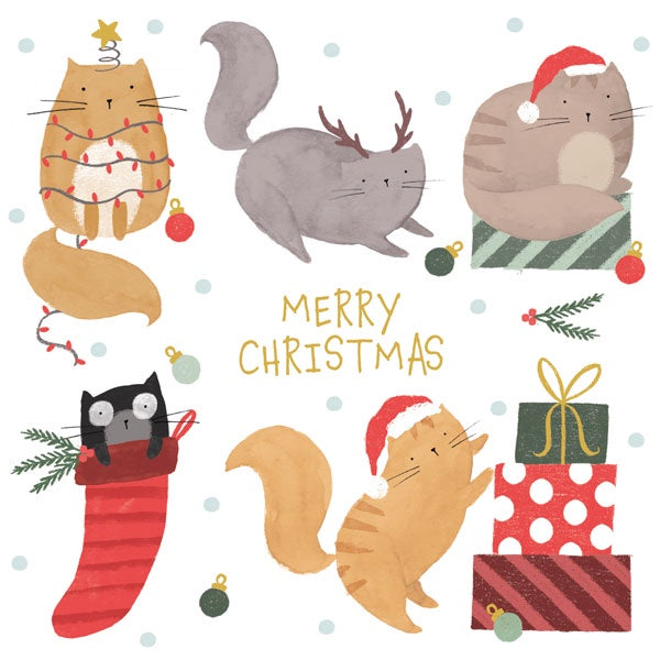 Cats & Presents Pack of 6 Christmas Cards