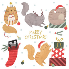 Cats & Presents Pack of 6 Christmas Cards