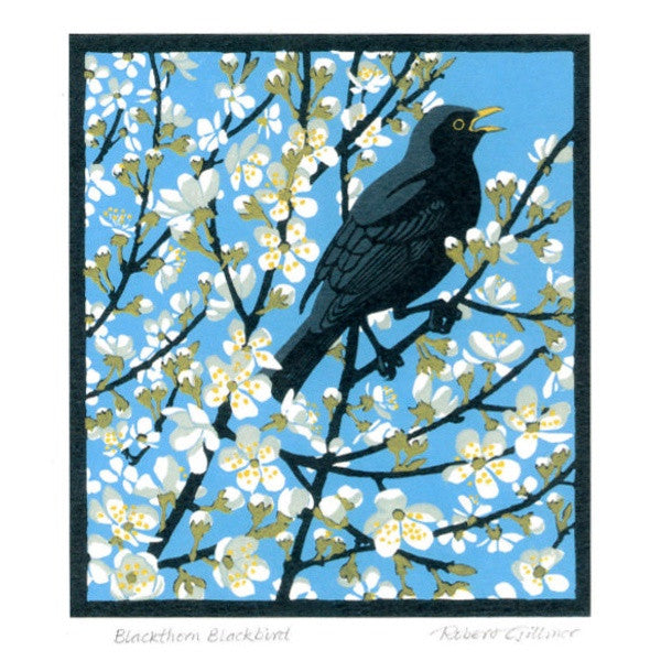 Blackthorn Blackbird Card