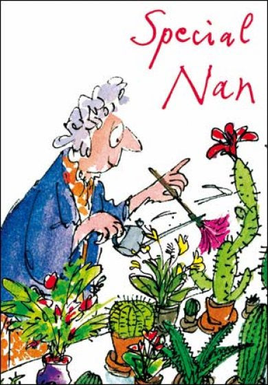 Special Nan Birthday Card