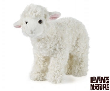 Large Lamb