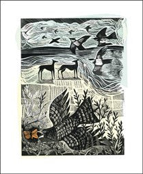 Nightjar and Sea Card by Angela Harding