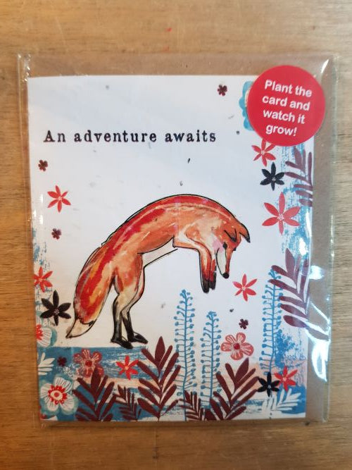 An Adventure Awaits Seed Card