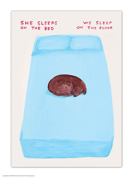 She Sleeps On The Bed Postcard