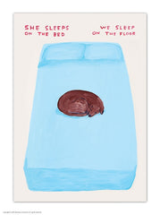 She Sleeps On The Bed Postcard