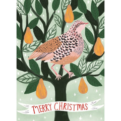 Christmas Partridge Charity Card Pack