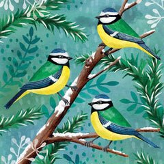 Blue Tits on Snowy Branch Charity Card Pack
