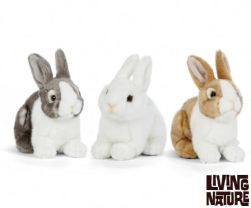 Pet Rabbits Assorted Small