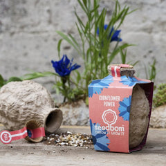 Cornflower Power Seedbom