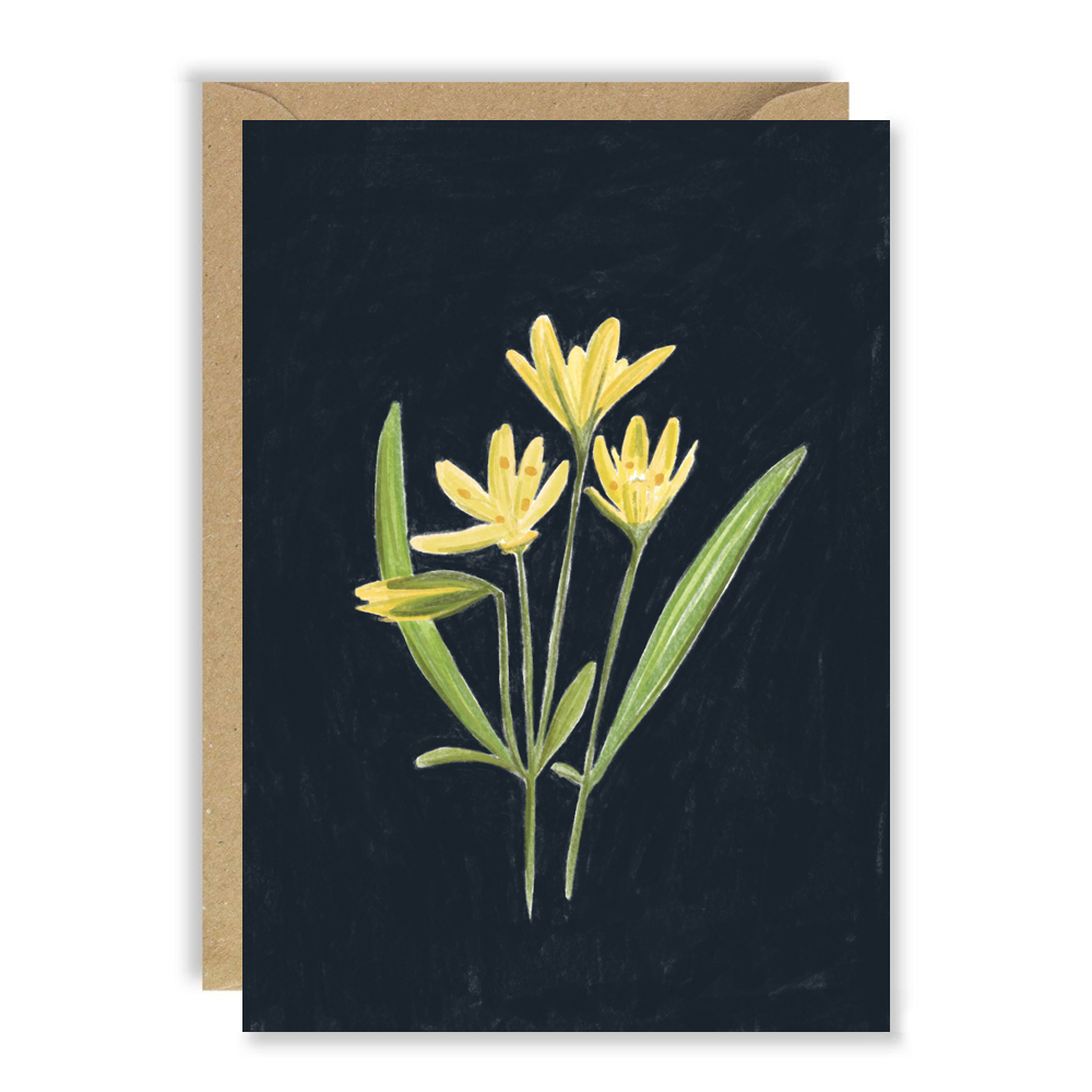 Yellow Flower Box Of 6 Cards