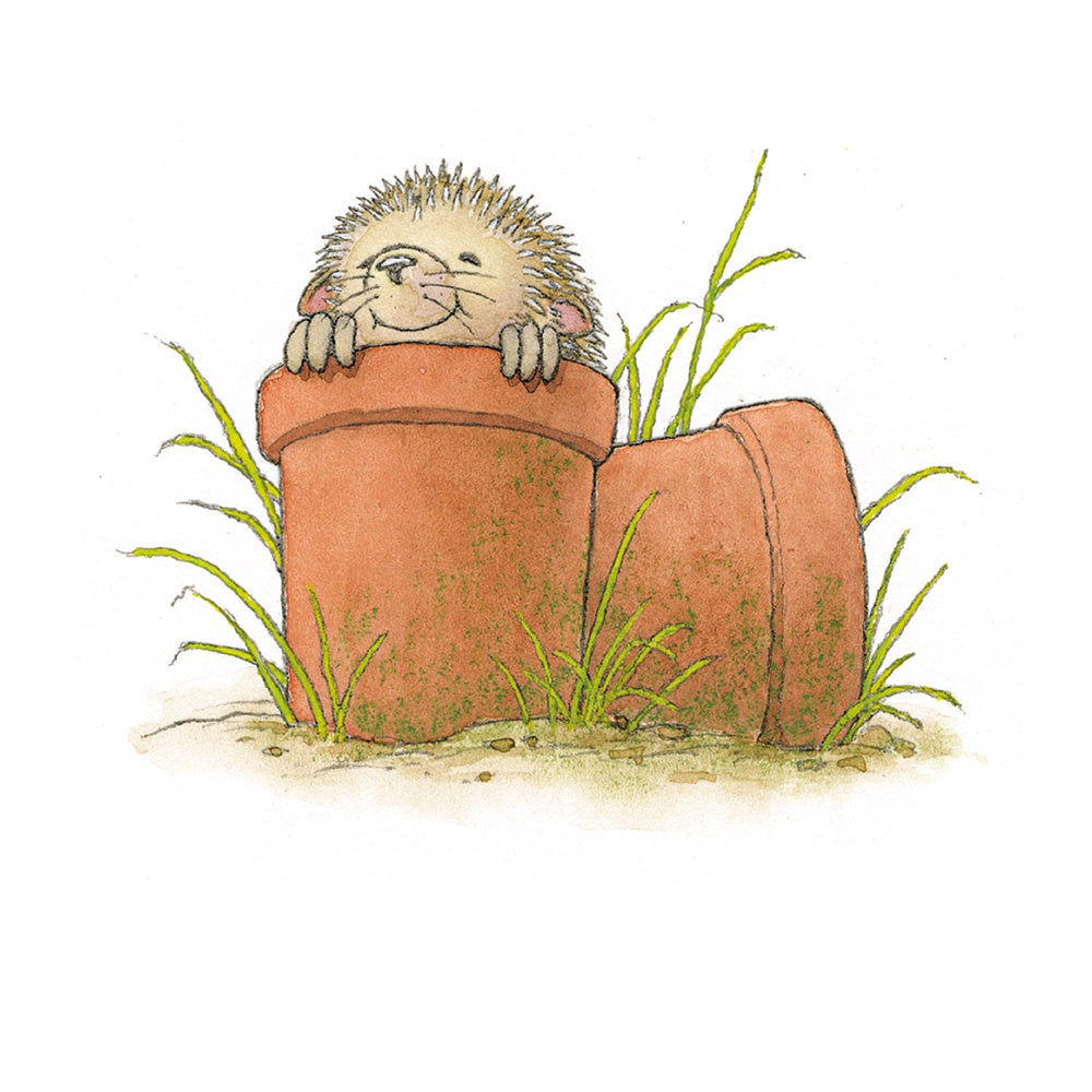 Percy the Park Keeper Hedgehog in Pot Card