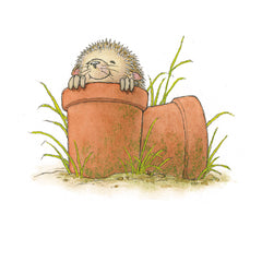 Percy the Park Keeper Hedgehog in Pot Card