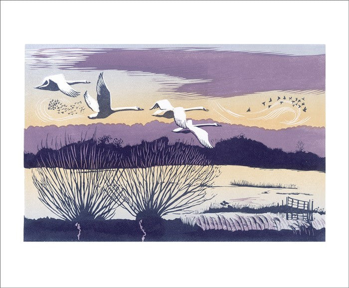 Blank-Winter Swans