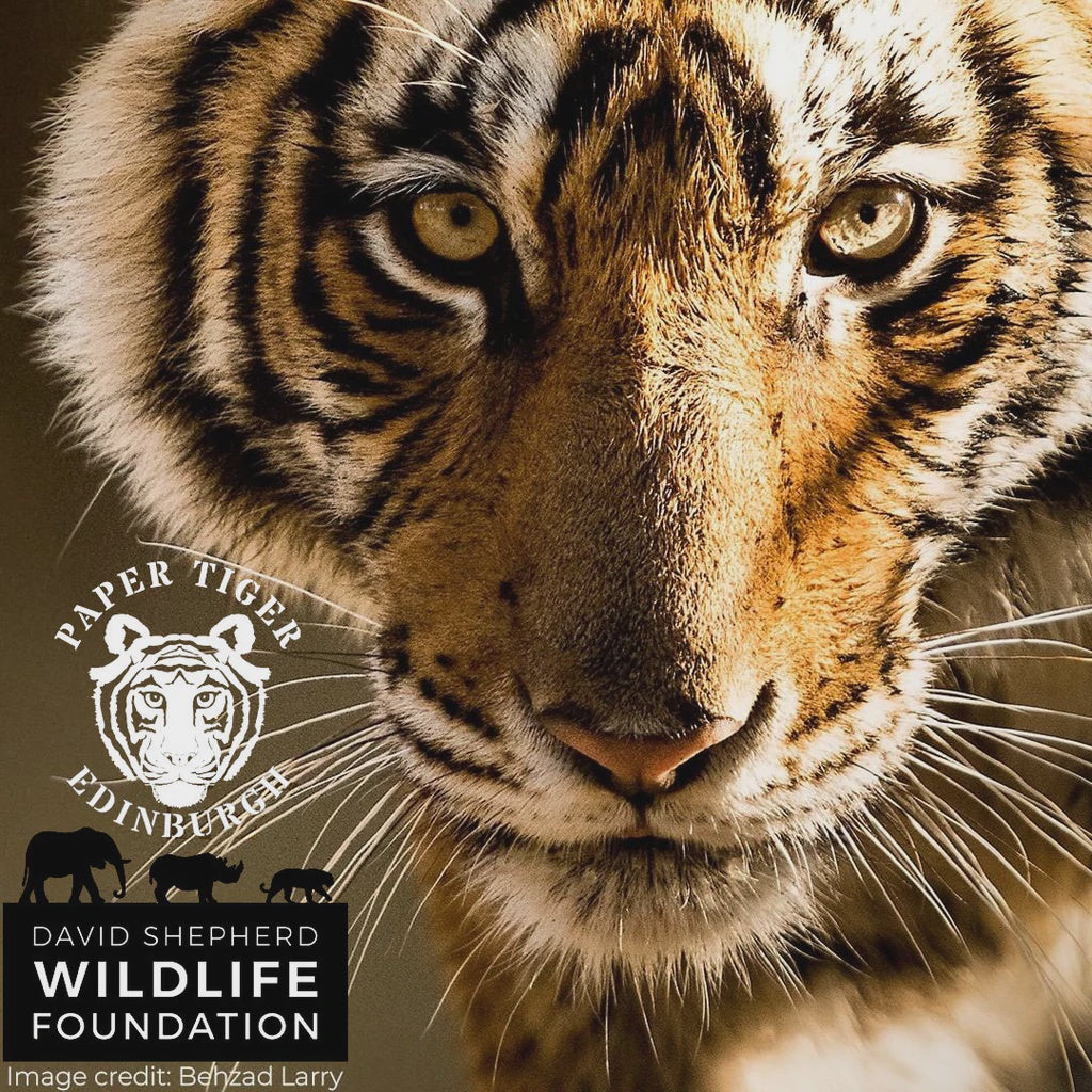 DONATE £2 TO SAVE THE TIGER