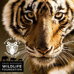 Save The Tiger Donation
