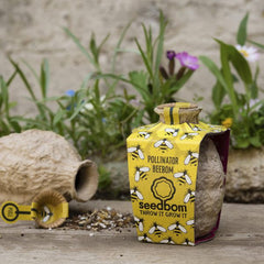 Pollinator Beebom Seedbom
