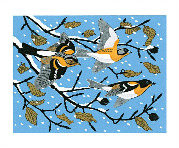 Beech and Bramblings Card