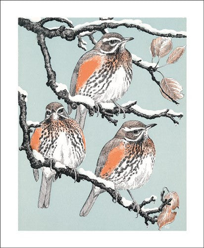 Redwings Card