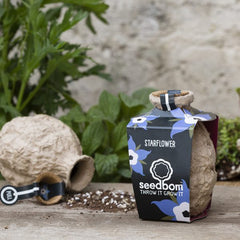 Starflower Seedbom
