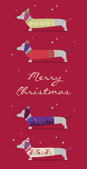 Christmas Frank Sausage Dog Money Wallet