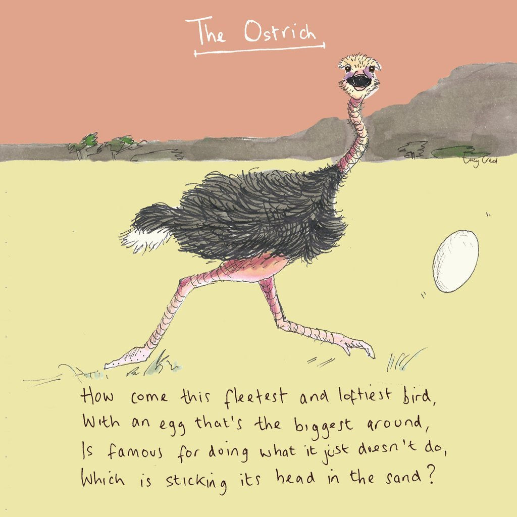 The Ostrich Blank Card
