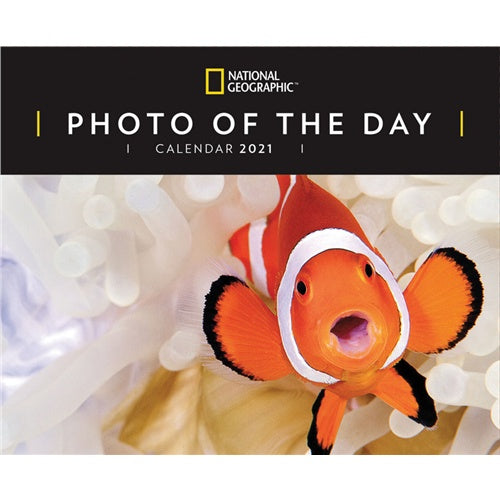 National Geographic Photo Of The Day Boxed Calendar 2021