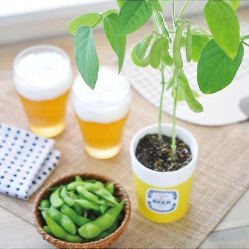 Edamame Growing Kit