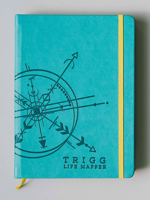 Trigg Life Mapper 2020