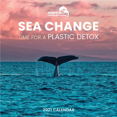 Sea Change Wall Calendar 2021