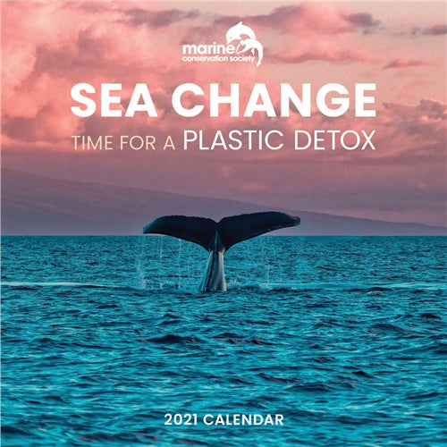 Sea Change Wall Calendar 2021