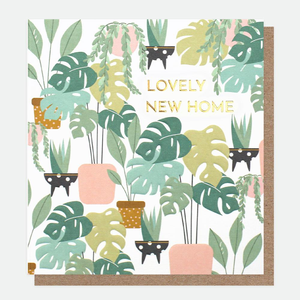 Lovely New Home Houseplants Card