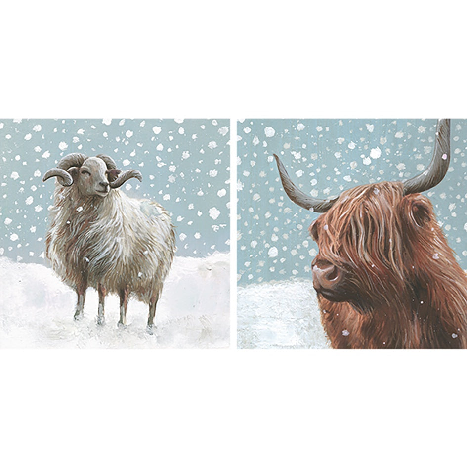 Snowy Sheep and Cow Box of 10 Cards