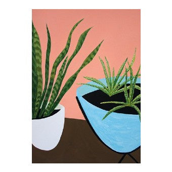Aloe And Snake Plant Card