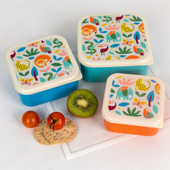 Wild Wonders Animal Set of 3 Snack Boxes