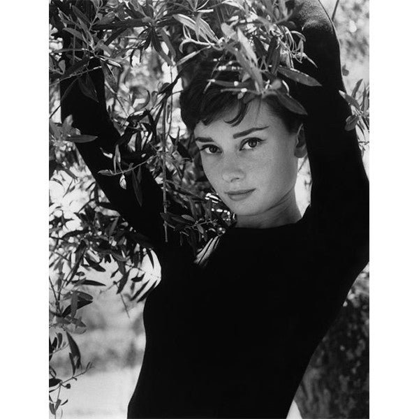 Audrey Hepburn 1954 Card