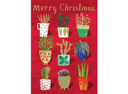 Nine Plant Pots Christmas Card