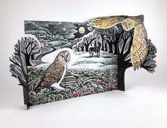 Owl in Winter Advent Calendar by Angela Harding
